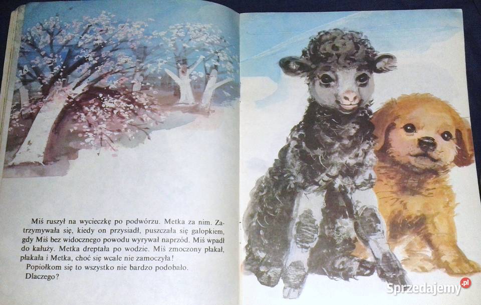 Czarna owieczka Jan Grabowski lubelskie Chełm