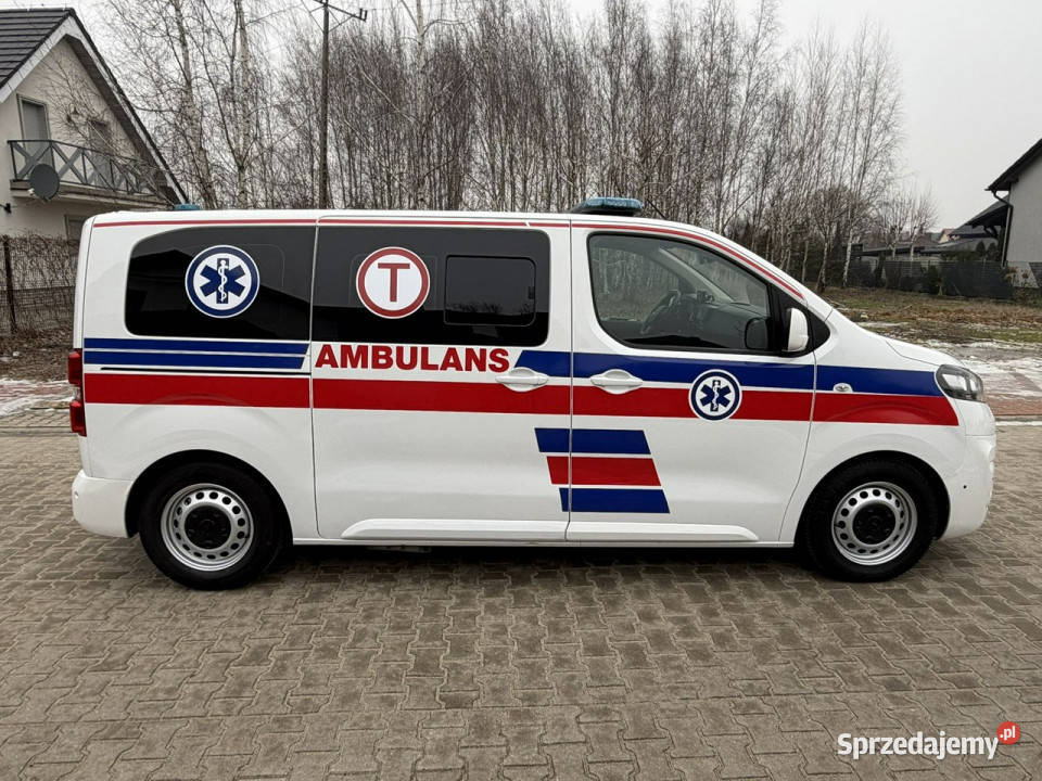 samochody kempingowe Opel Vivaro Opel Vivaro wielkopolskie