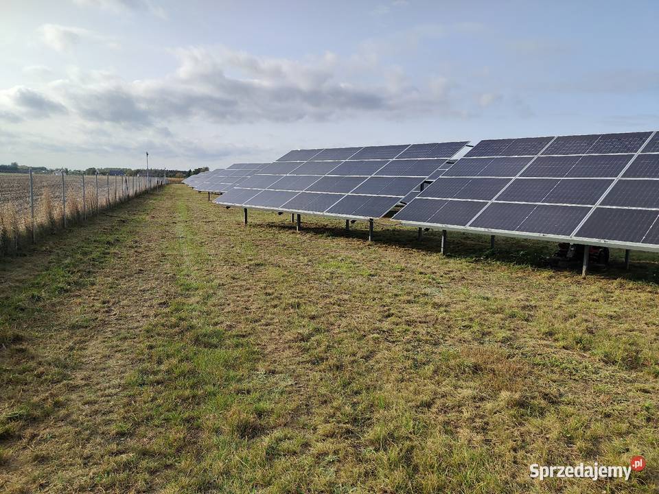Koszenie farm fotowoltaicznych nieurzytkow kujawsko-pomorskie Bydgoszcz
