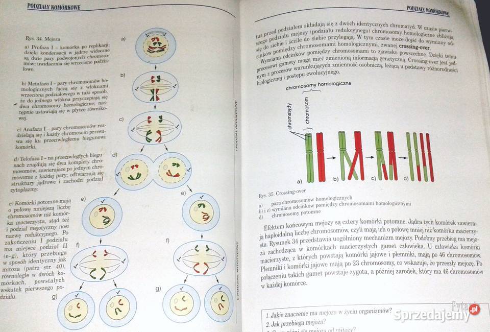 Biologia 1 Podstawy życia Tajemnice ludzkiego Chełm