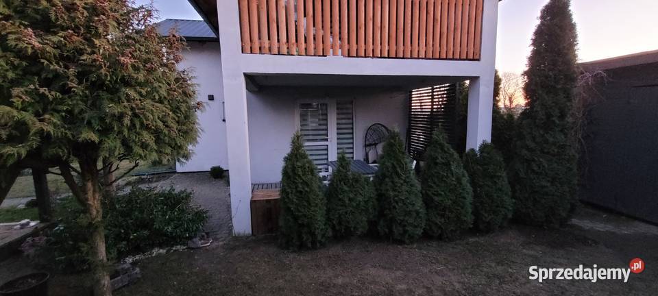 Sprzedam działkę ROD Chojnice