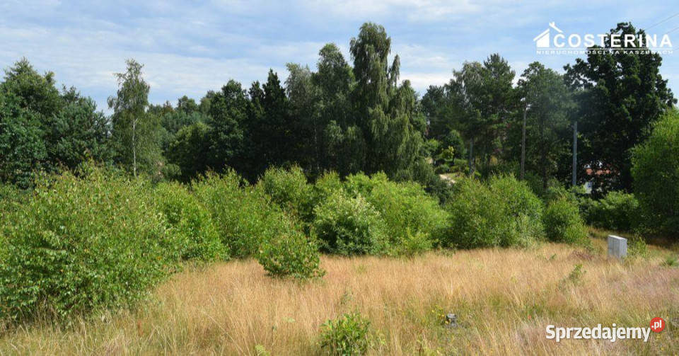 Działka do sprzedania 1147m2 Dziemiany pomorskie sprzedam