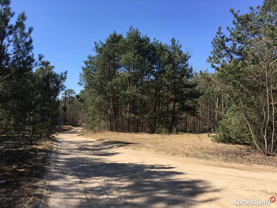 Działka budowlana w Wildze ( pow. Garwolin)