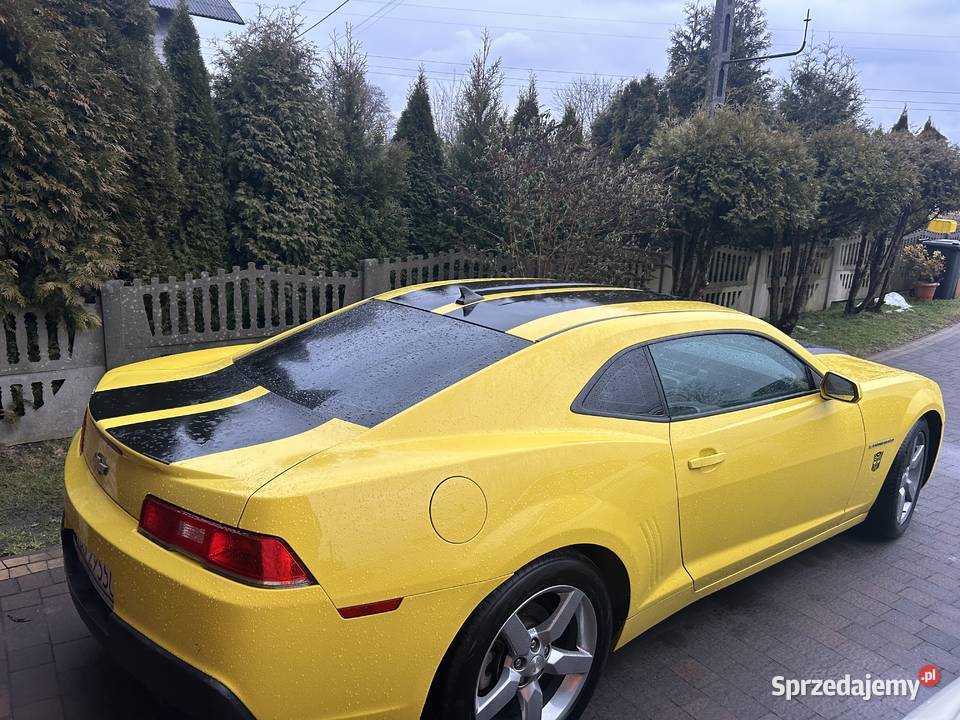 Camaro 36V automat Zator sprzedam