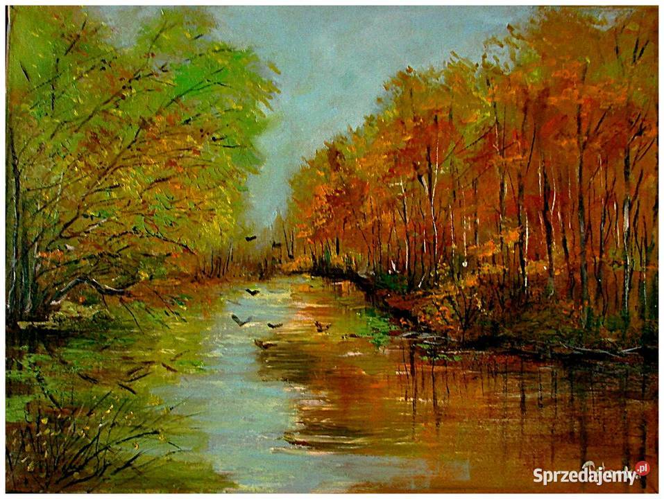 wodą obraz olejny 3040 dostępny mazowieckie Radom sprzedam