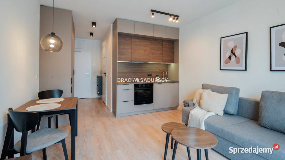 Mieszkanie 246m2 Kraków Romanowicza Liczba pokoi 1 małopolskie