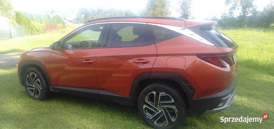 Hyundai Tucson 16 TGDi HEV Platinum 2WD Biskupiec