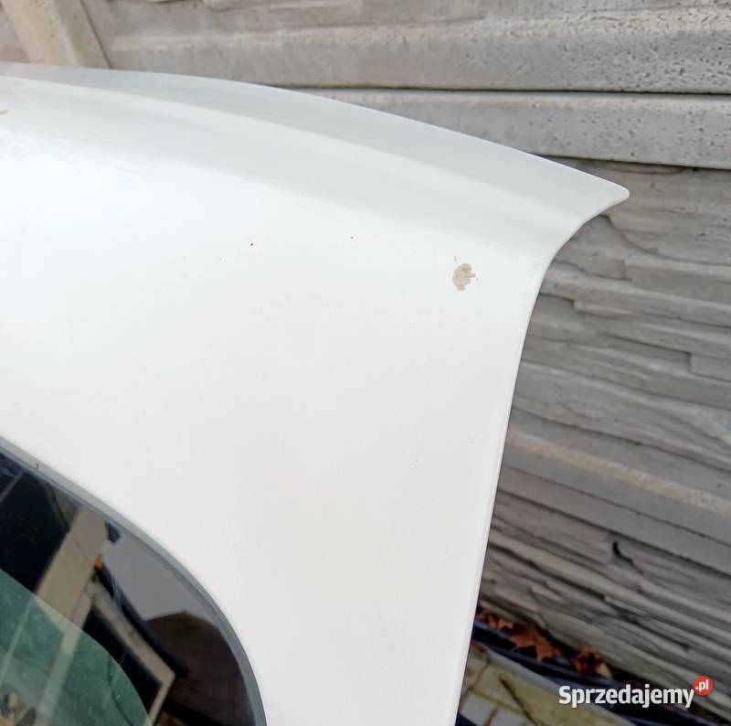 Kangoo 2 II drzwi tył prawe skrzydło kolor 0389 Kłobuck
