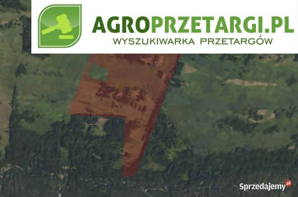 Dzierżawa 24044 ha gruntu rolnego wielkopolskie Września sprzedam