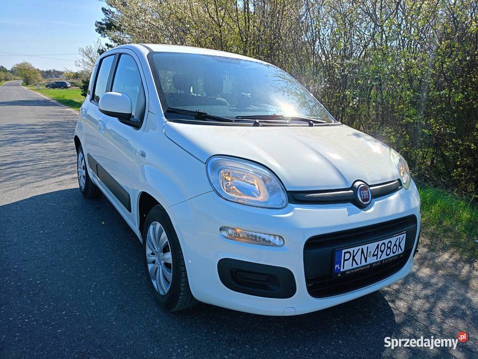 FIAT PANDA Rok produkcji 2017 wielkopolskie Głodno