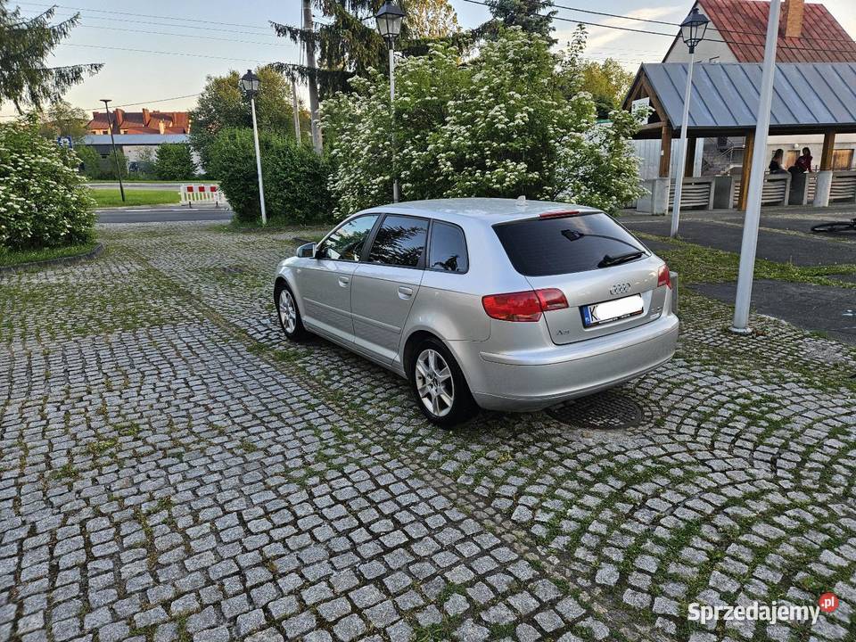 Audi A3 2006r 20Tdi 4x4 Quattro Klimatronik A3 Ryglice
