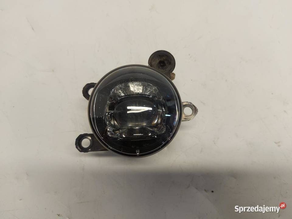Ford Ranger VI 6 2024r HALOGEN LED DRL LEWY
