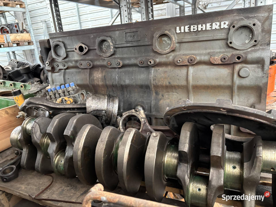 Liebherr D916 Blok Silnika 3201042 Wał Obudowa wielkopolskie Jastrzębniki