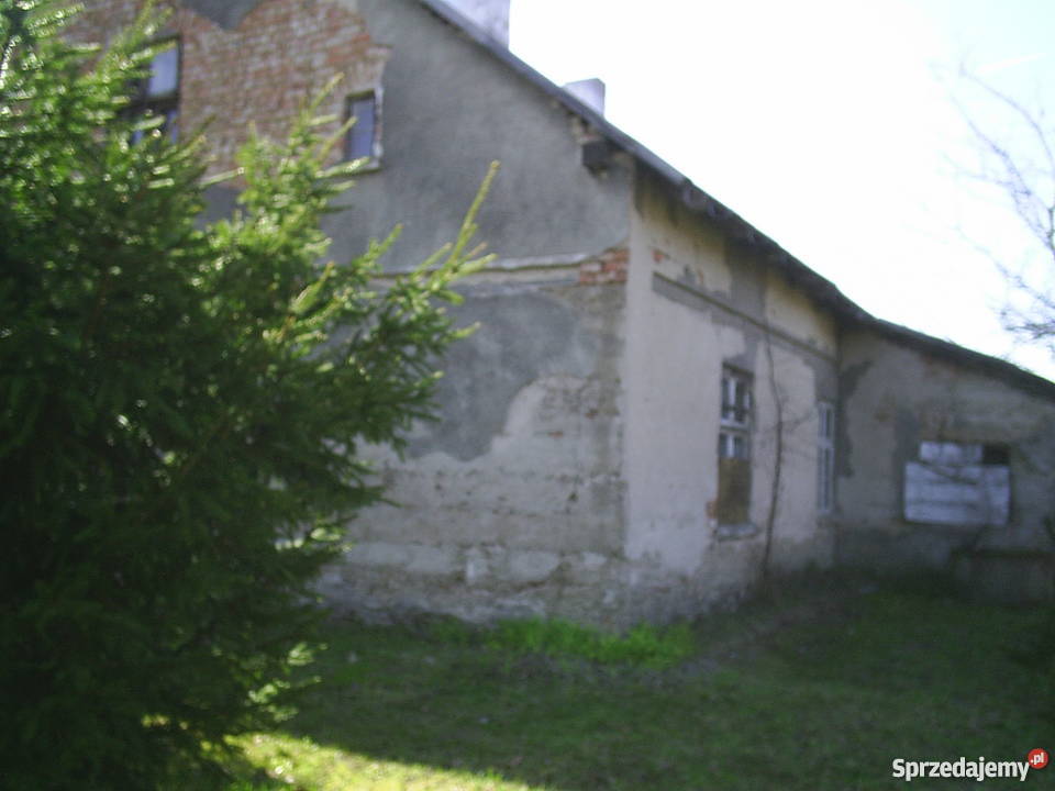 Sprzedam dom na Mazurach piwnica Drozdowo