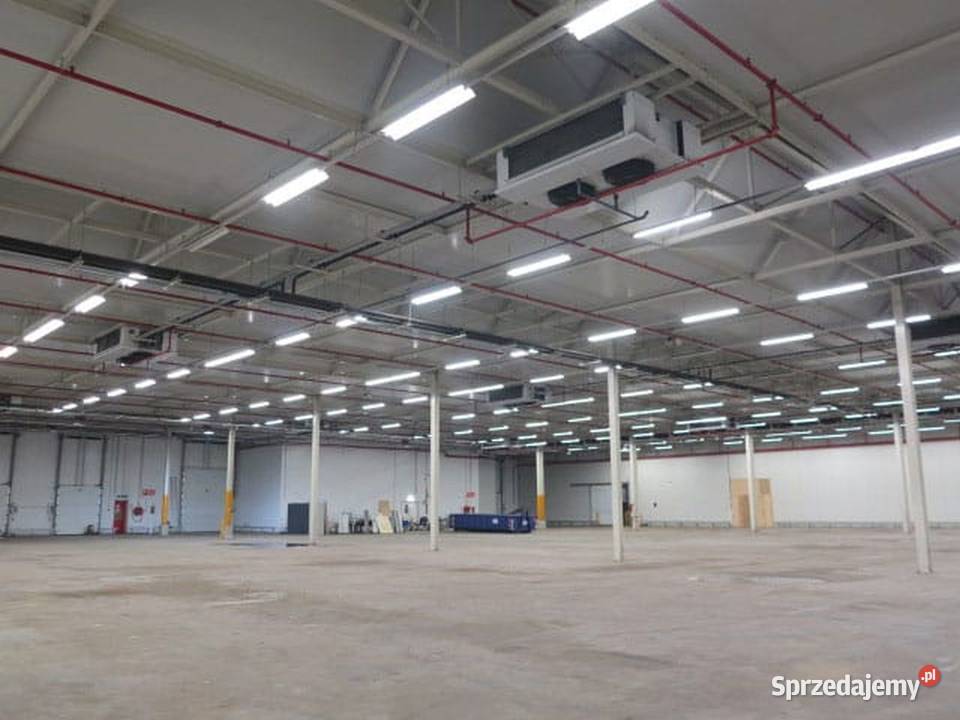 Chłodnica dwustronna parownik Goedhart DVS hala Niedźwiedź sprzedam