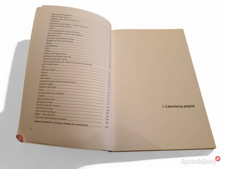 Hanna Wietrzny Z łyżką clowna los CD wyd Trivium Kraków