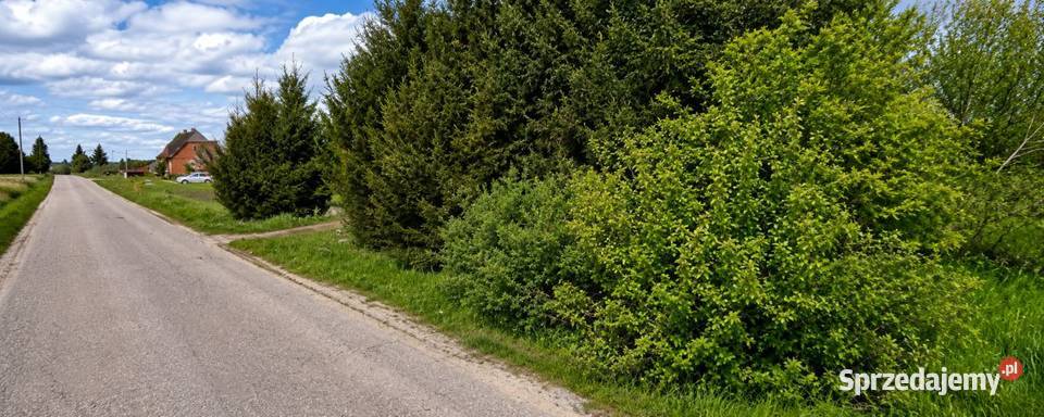 Gospodarstwo na Mazurach 375 ha Dźwierzuty