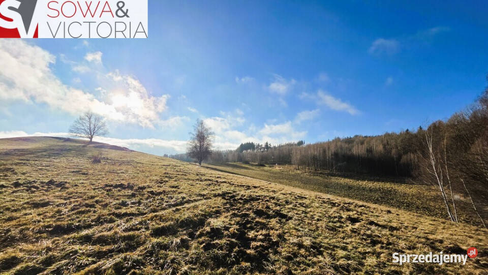 Rezydencjalna działka budowlana w Górach Sowich utwardzona Zagórze Śląskie
