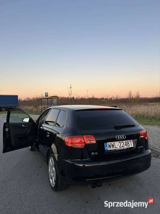 Audi A3 19 TDI przyciemniane szyby Tłuszcz