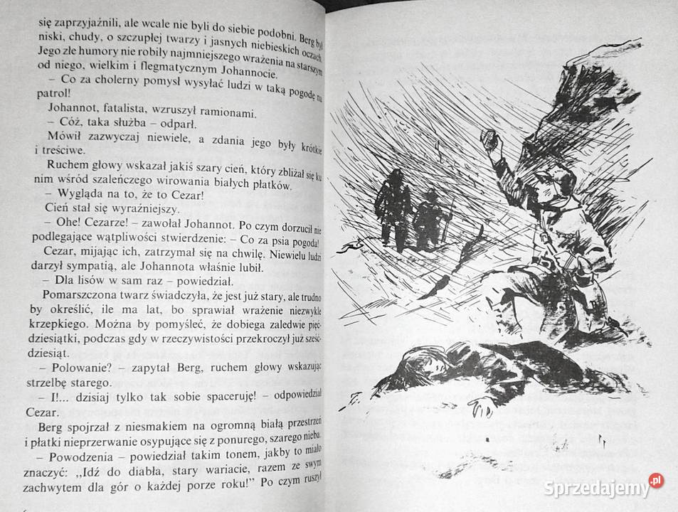 Bella i Sebastian Ccile Aubry Rok wydania 1994 lubelskie Chełm