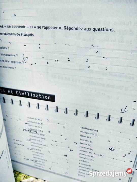 Echo a2 francuski Warszawa sprzedam