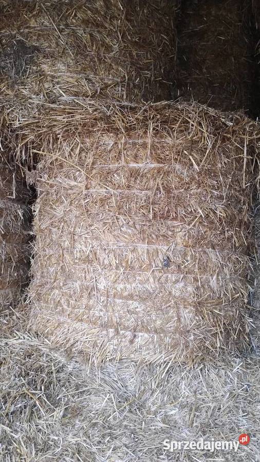 Słoma bela 12 m Produkcja roślinna Silice