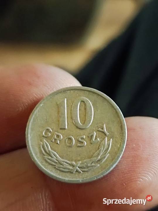 Sprzeam 10 gr 1953 bzm Chełm sprzedam