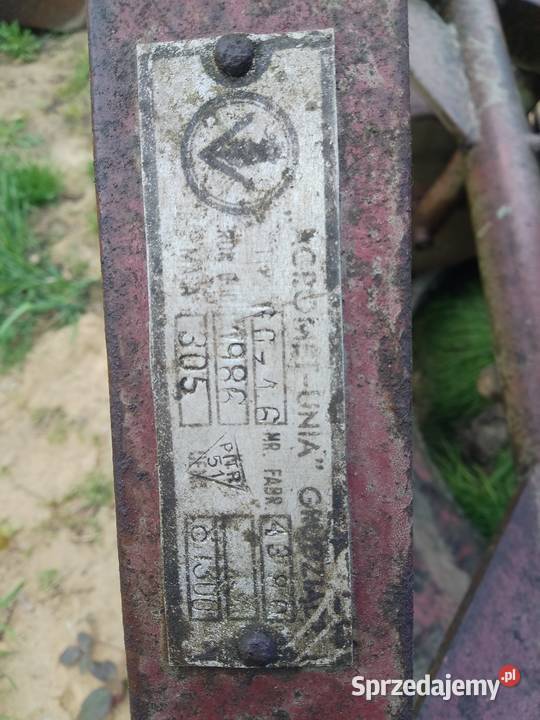 Glebogryzałka małopolskie