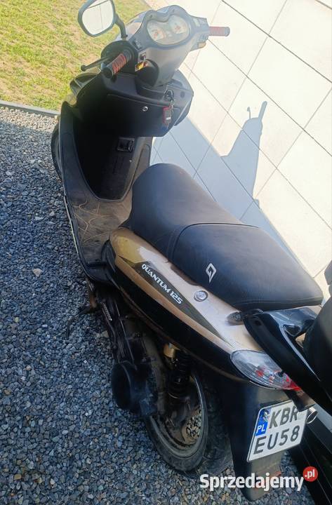 Skuter Zipp quantum 125 pojemność Sandomierz
