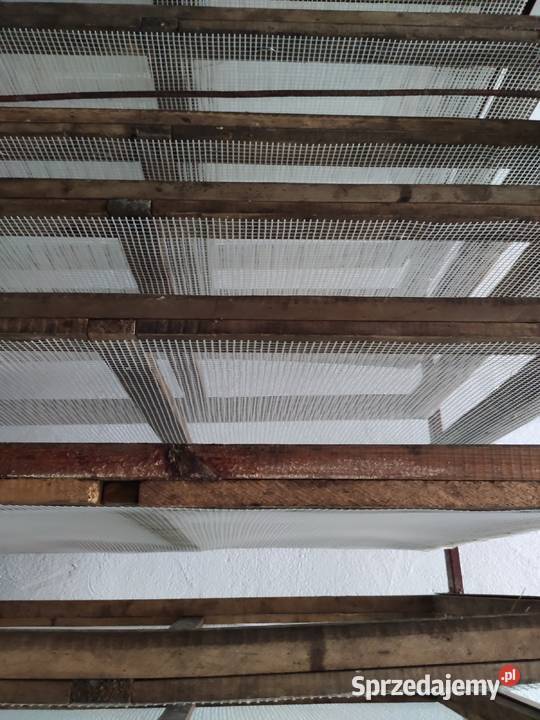 Suszarnia kontenerowa do warzyw owoców grzybów Produkcja Lasochów sprzedam