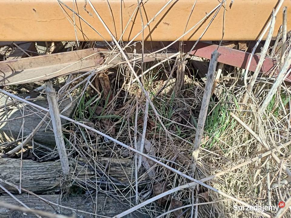 Agregat uprawowy podkarpackie Gać