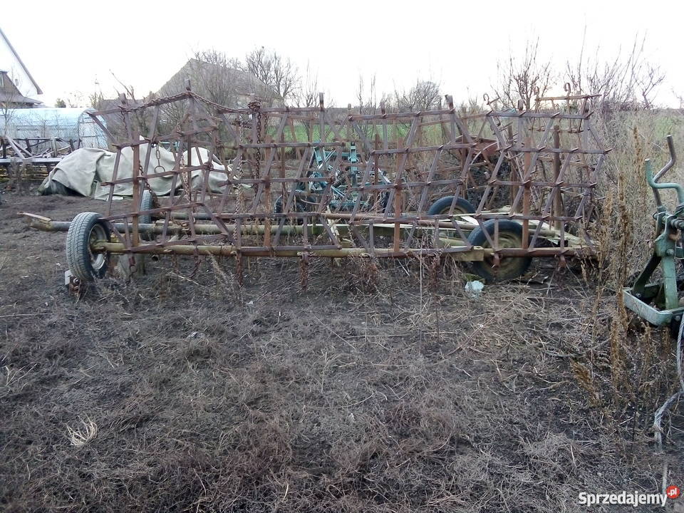 Sprzedam duże Brony zachodniopomorskie Krześnica sprzedam