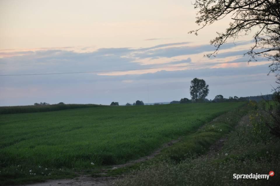 dom i gospodarstwo rolne 157 ha Żuromin