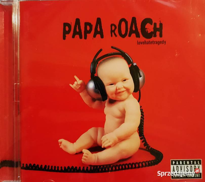 Album CD Red Hot Chili Peppers Blood Sugar Wrocław