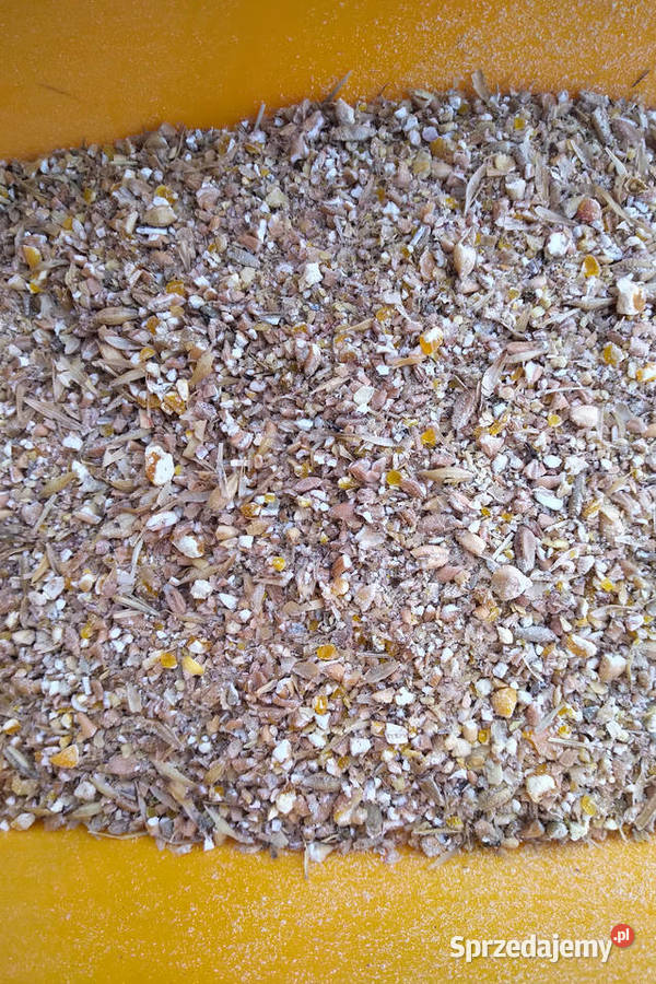 pasza kur niosek Karmy i pasze Sieradz sprzedam