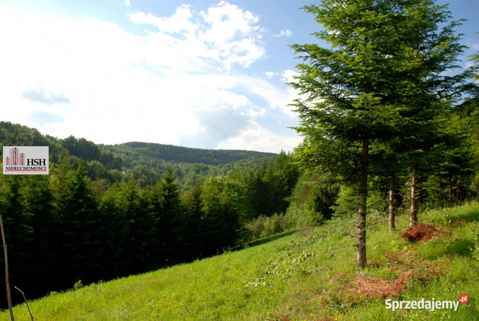 Działka do sprzedania Maków Podhalański 14000m2 Nieruchomości