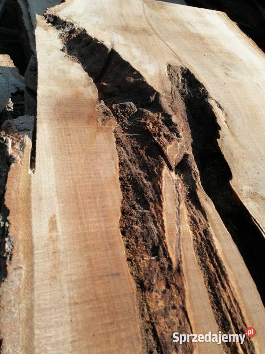 monolit dąb 245x65x65 stolik kawowy live edge Przysucha