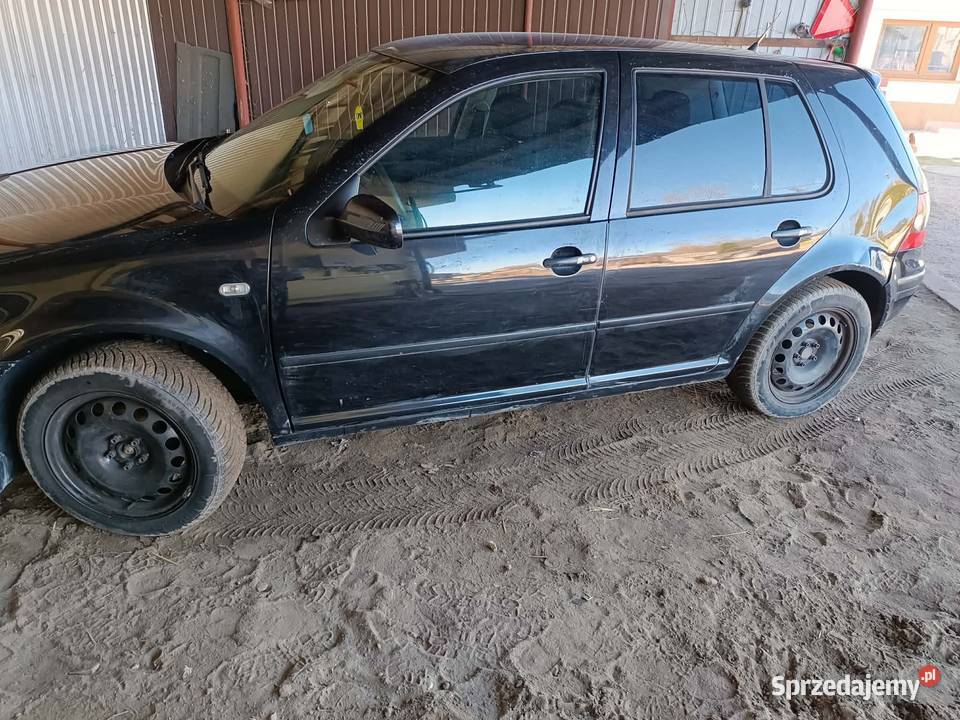 Golf 4 16 benzyna lekko uszkodzony benzyna Jędrzejów