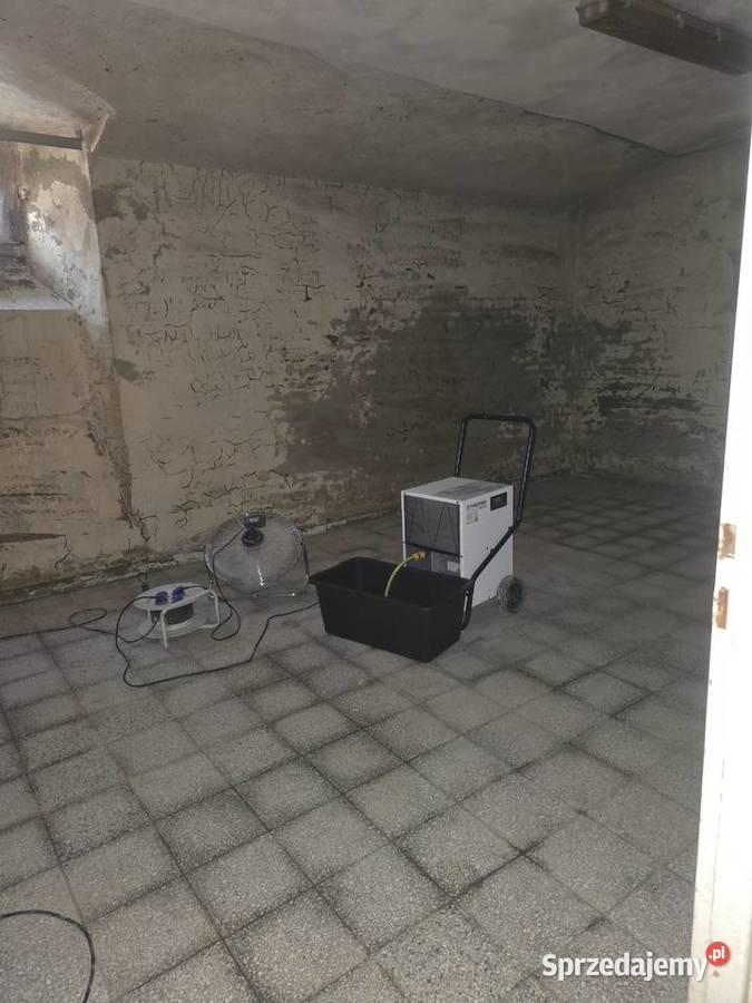 Osuszanie budynków Wynajem osuszaczy wycieków