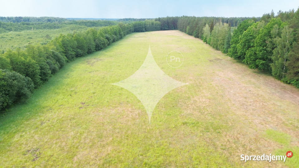 Działka w otulinie lasu niedaleko jeziora warmińsko-mazurskie Makosieje