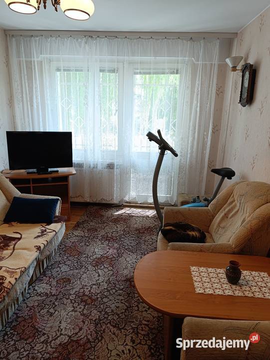 Wynajmę mieszkanie 3 pokojowe 2000 studenci Wynajem Poznań sprzedam