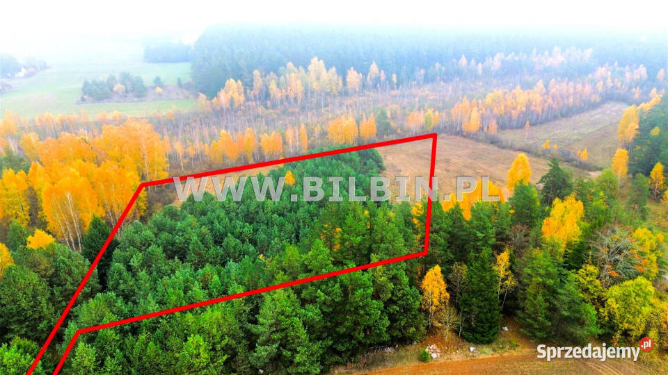 sprzedaży działki 12046m2 Berżałowce 27zł/m2
