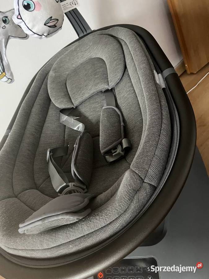 Bujaczek lionelo Puławy