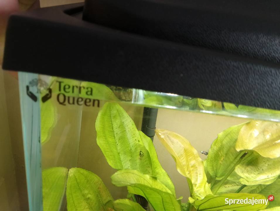 Akwarium 120x40x50m szkło 10mm Optiwhite śląskie Sosnowiec