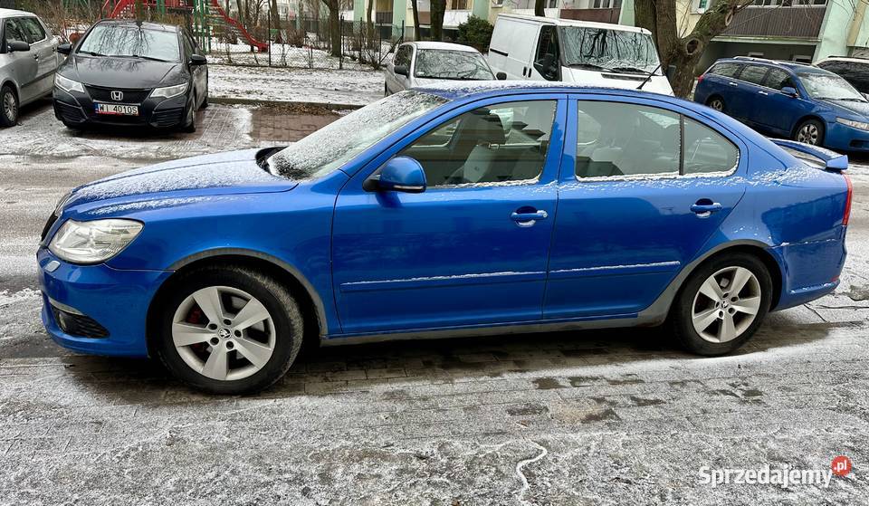 Skoda Octavia II FL RS 20 TDI 170 Manual Zamość sprzedam