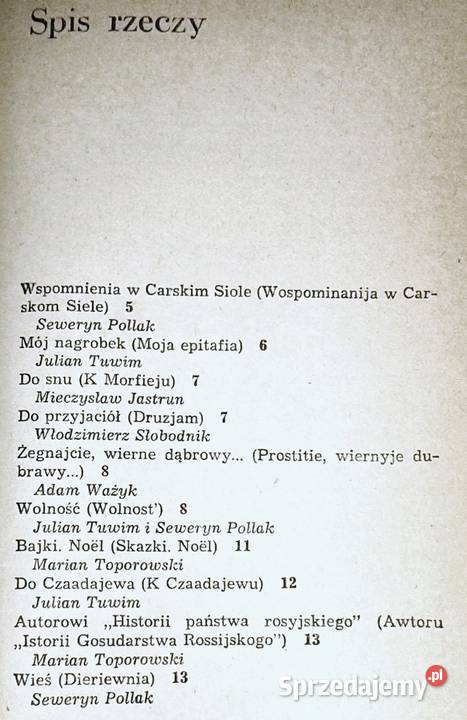 Poezje Aleksander Puszkin Chełm sprzedam