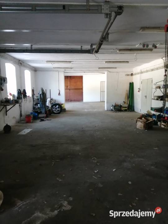 Zakład na dowolną działalność Motoryzacja