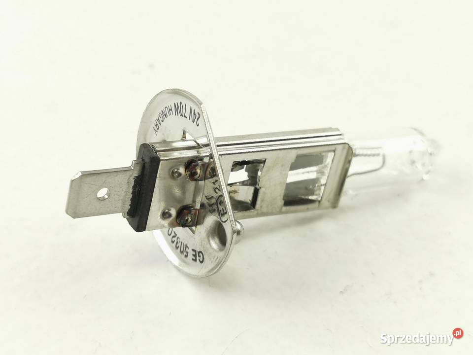 ŻARÓWKA HALOGEN H1 24V 70W MERCEDESBENZ ACTROS sprzedam