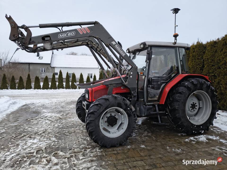 Massey Ferguson 4235 z ładowaczem Grabów Szlachecki