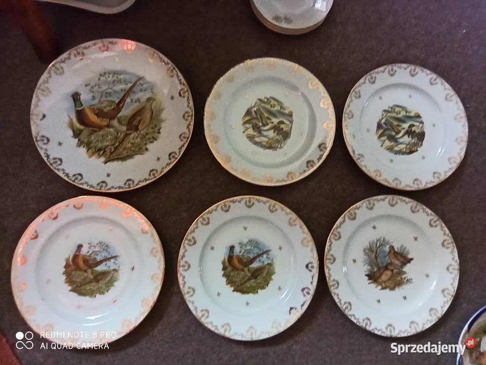 Serwis z ptakami Limoges Francja Gdańsk